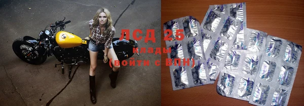ПСИЛОЦИБИНОВЫЕ ГРИБЫ Каменногорск
