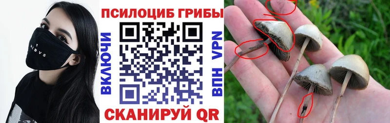 Купить где  Покров  Галлюциногенные грибы мухоморы 